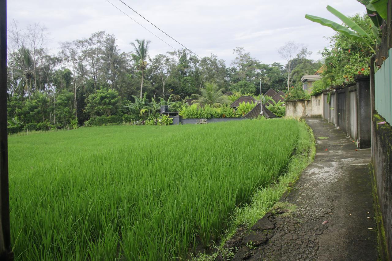 Ratna Villa 4 Ubud Esterno foto